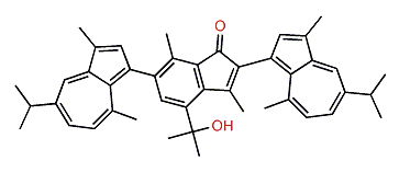 Anthogorgiene L